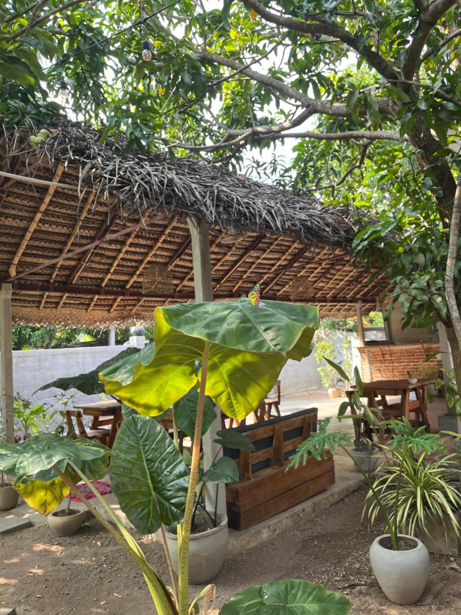 Avalon * Weligama